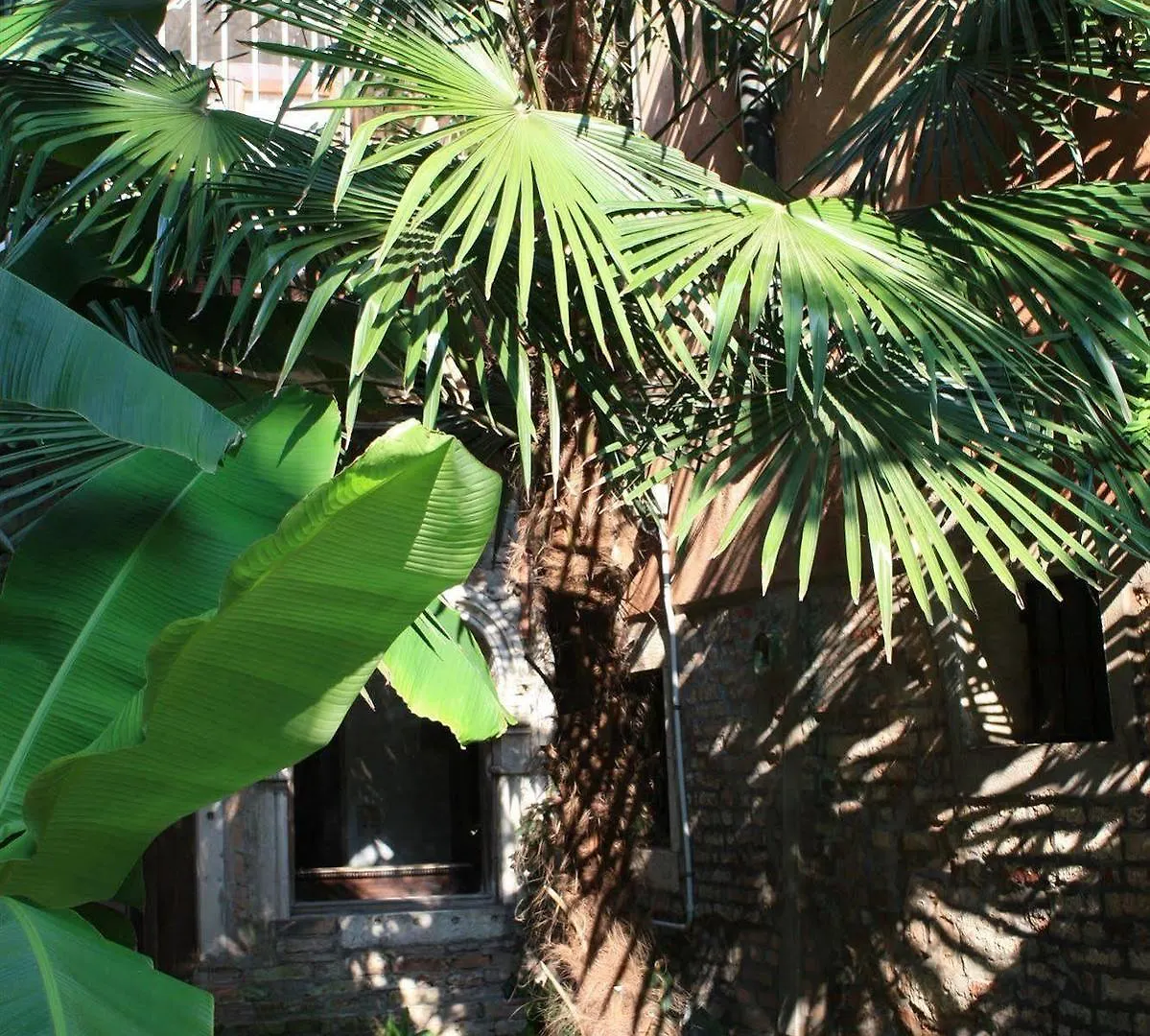 Appartamento Garden Ca' Rezzonico Venice Apartment