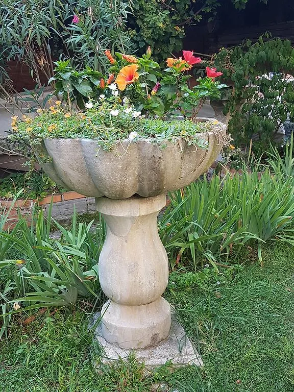Appartamento Garden Ca' Rezzonico Venecia