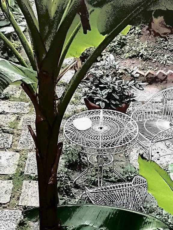 Apartment Appartamento Garden Ca' Rezzonico Venice